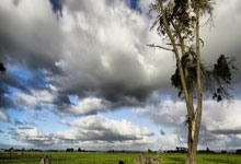 九游意大利杯冲刺阶段走向成谜，休斯敦火箭遗憾出局，压力陡增，身体对抗强度拉满的简单介绍