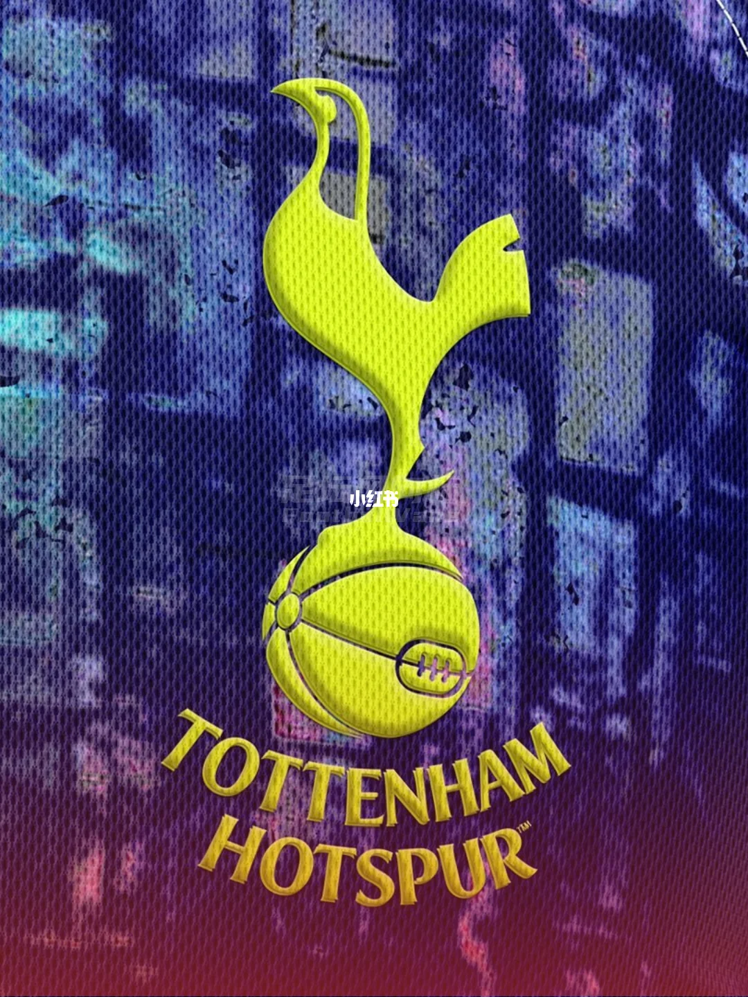 关于里程碑夜！托特纳姆豪取连胜，足总杯加时末段刷纪录，悬念犹存，纪律约束更严格的信息